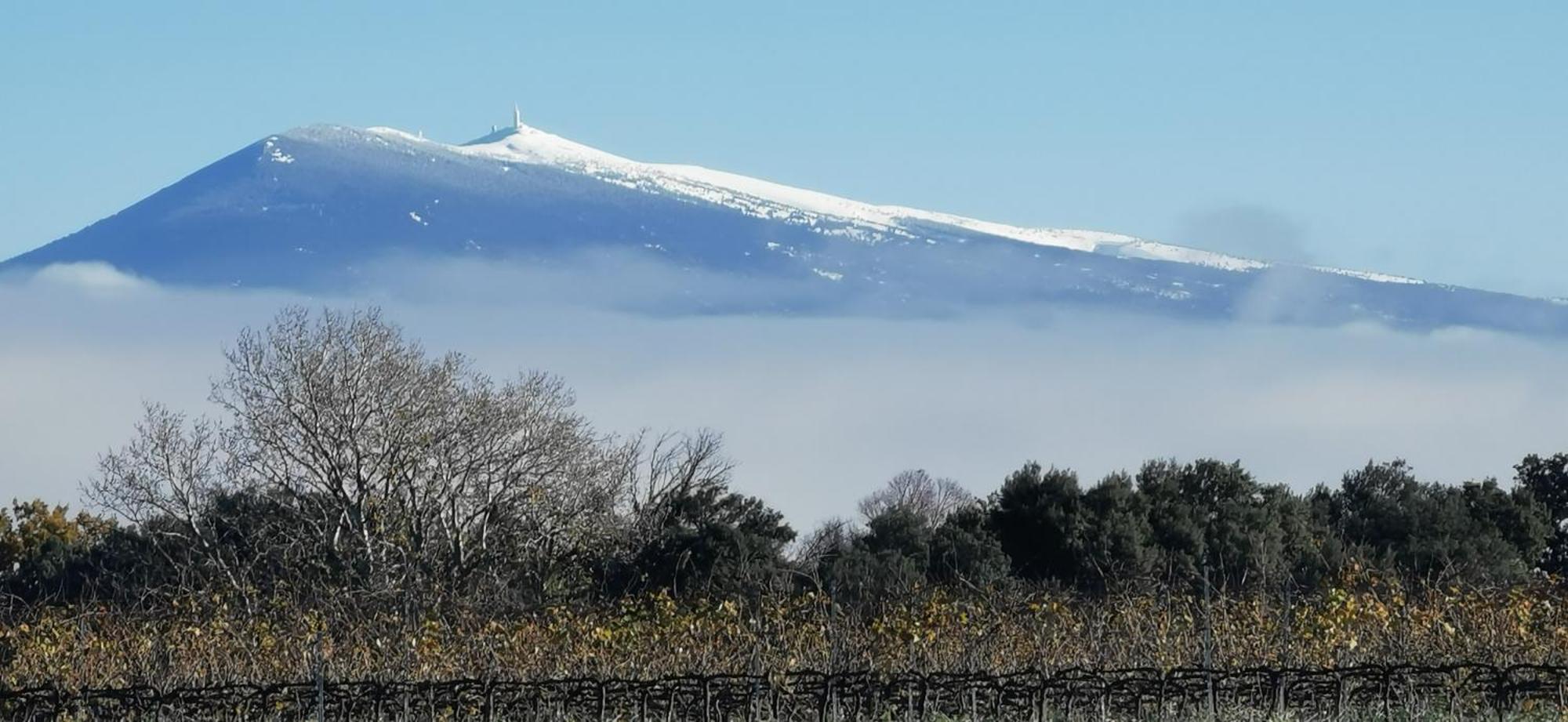 Lavand'Ange Et Spa サリアン エクステリア 写真